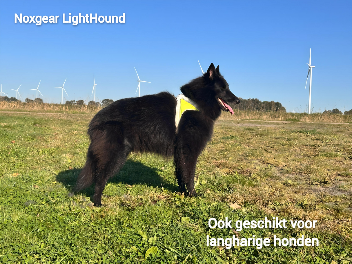 Noxgear LightHound hondentuig met ledverlichting ook geschikt voor langharige honden