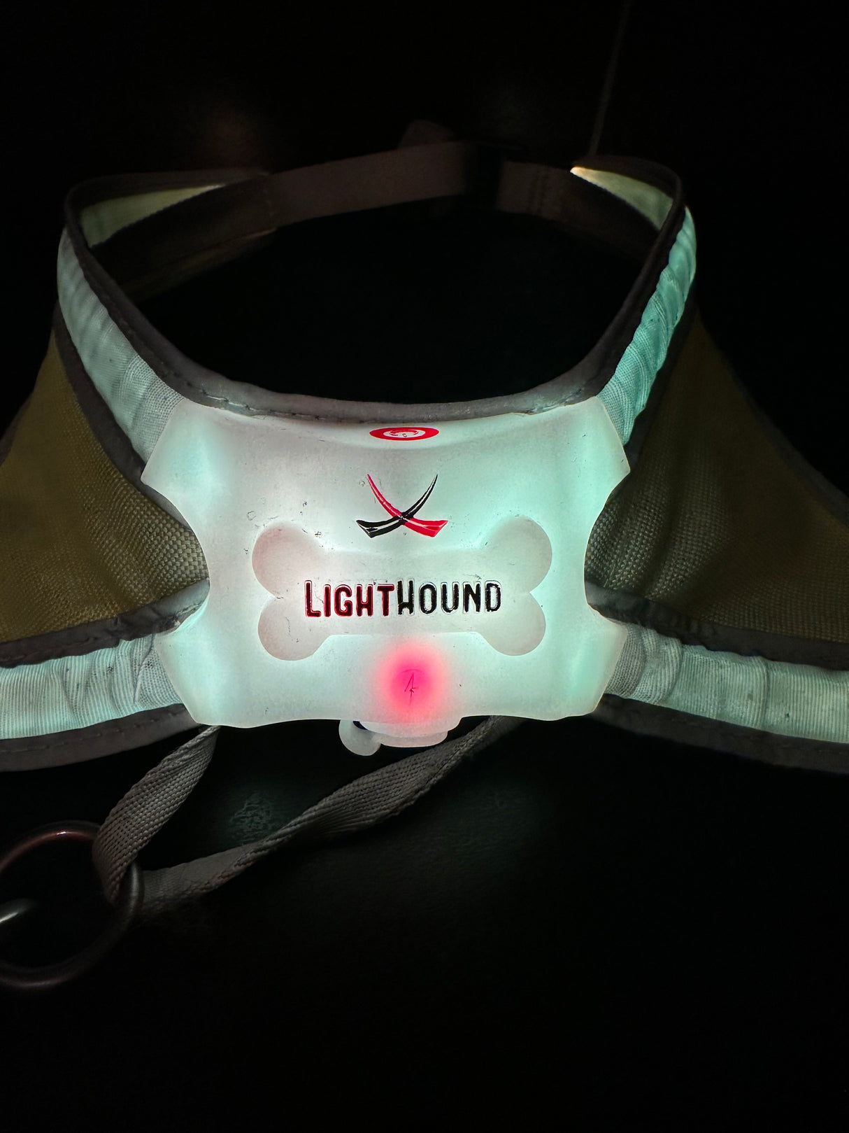 Noxgear LightHound hondentuig met rode led die brand omdat de accu bijna leeg is