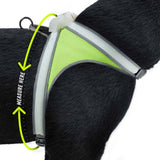 Noxgear LightHound hondentuig met ledverlichting, maat opmeten bij je hond