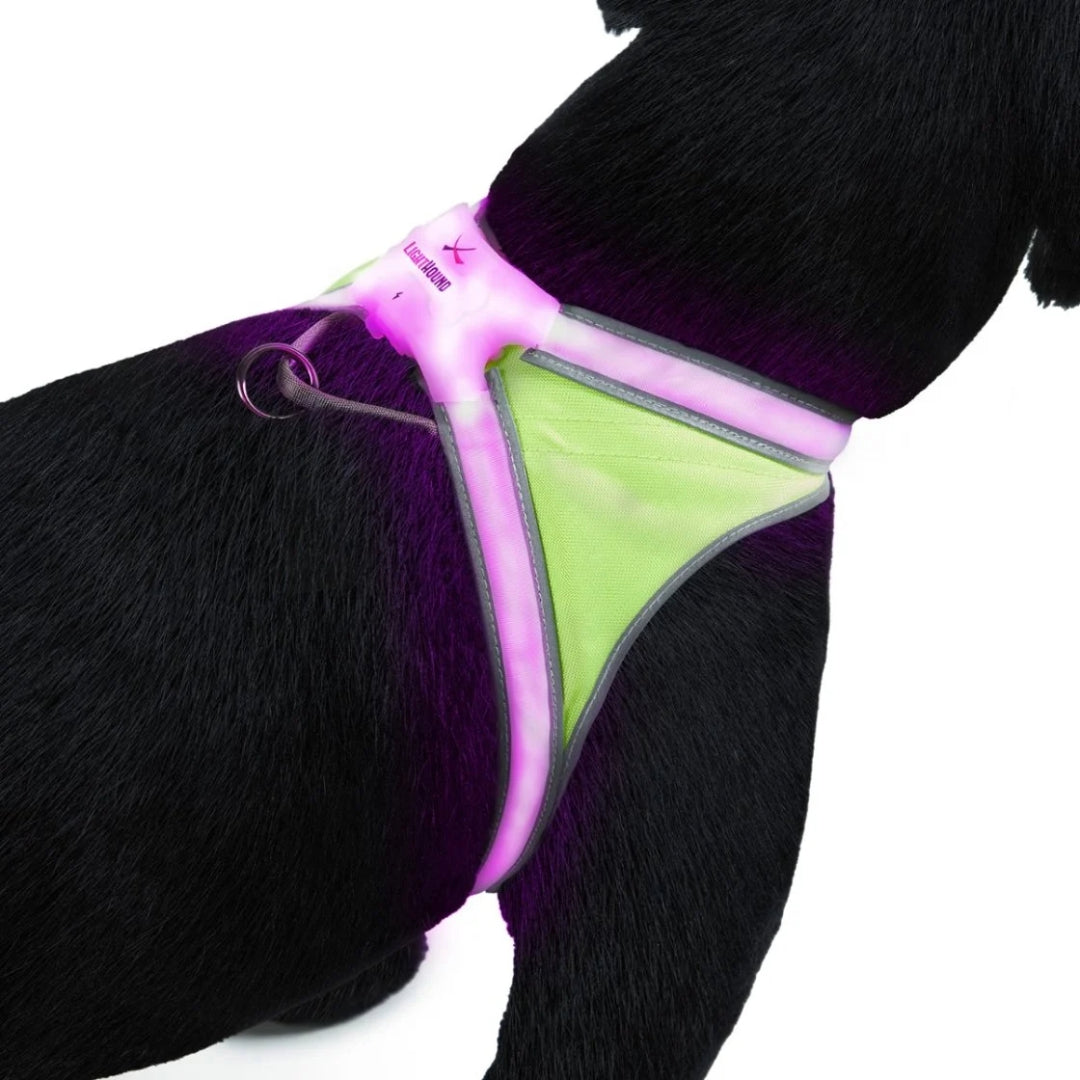 Noxgear LightHound hondentuig met verlichting in de kleur fuchsia roze