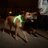 LightHound LED dog harness