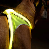 LightHound LED dog harness