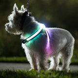 LightHound LED dog harness